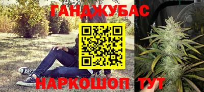 стафф Лесосибирск