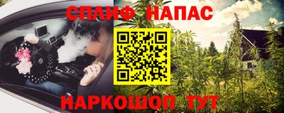 стафф Лесосибирск
