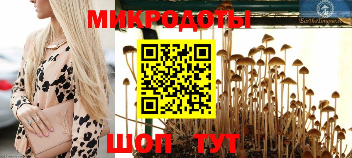 Псилоцибиновые грибы Magic Shrooms  Вход с VPN  Елизово 